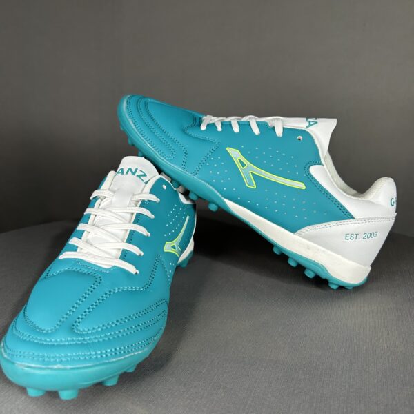 anza radon & striker turf